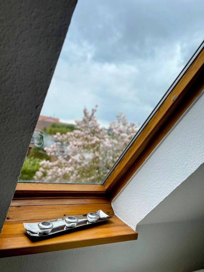 *To Hus* Wohnung Am Rande Von Jever Exterior photo
